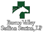 BRAZOS STALLION STATION